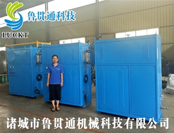 0.5 tons of electromagnetic heating steam boiler